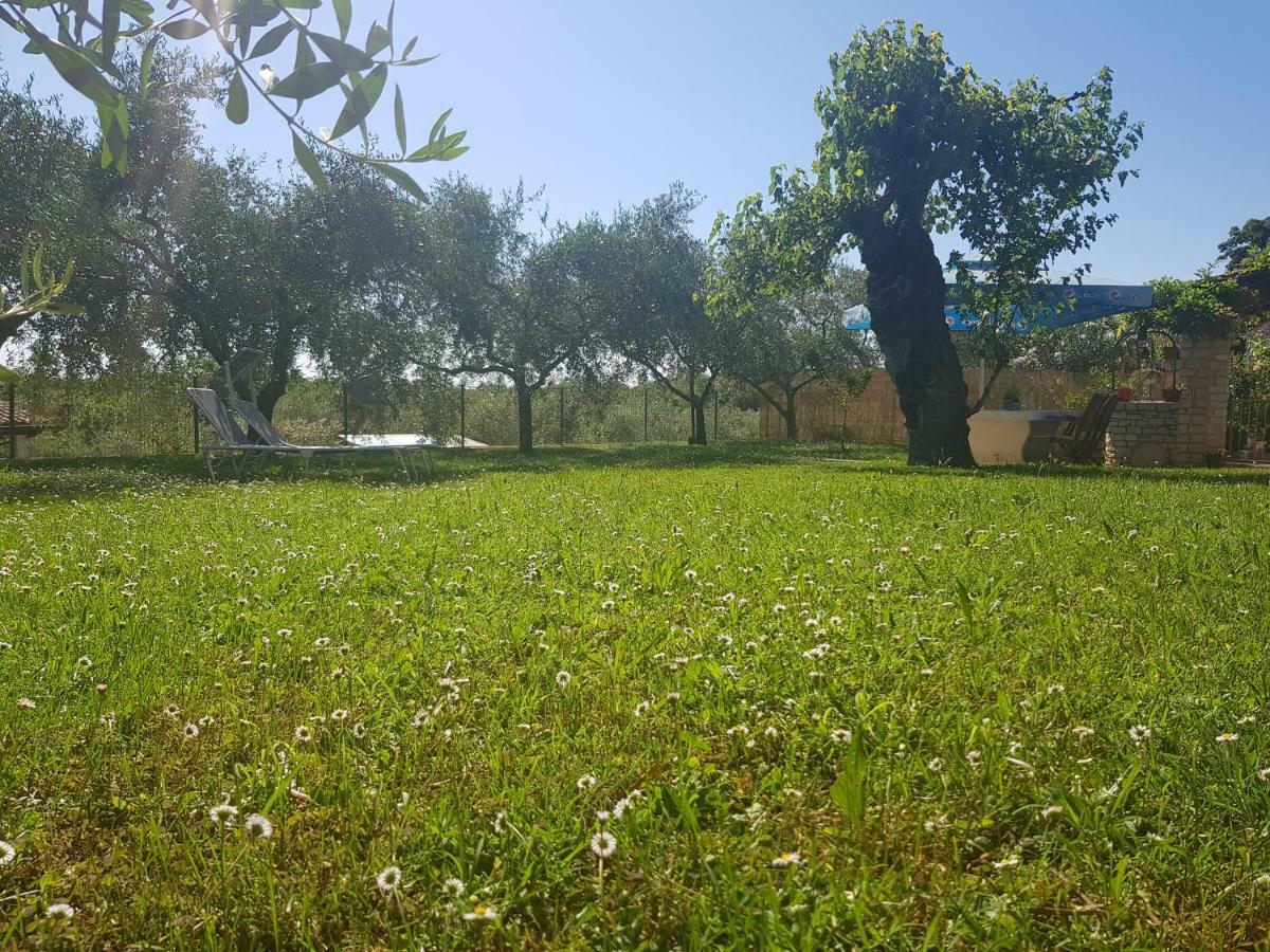 Casa Istria Villa Buje Ngoại thất bức ảnh